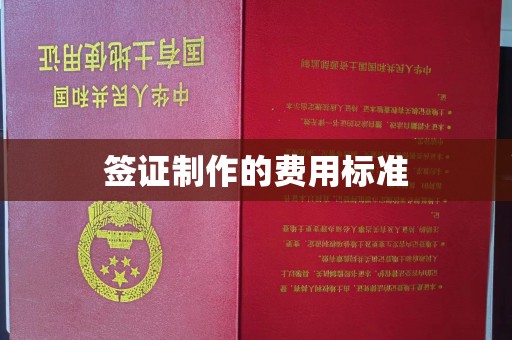 曲松签证制作的费用标准