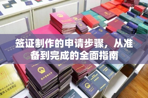 曲松签证制作的申请步骤，从准备到完成的全面指南
