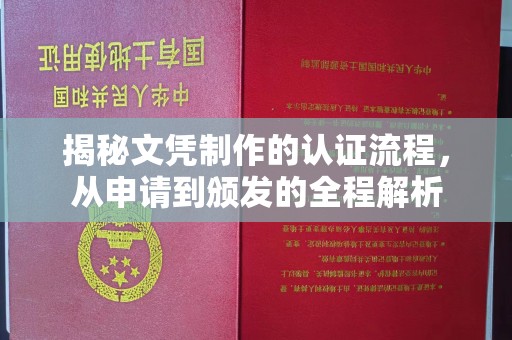 曲松揭秘文凭制作的认证流程，从申请到颁发的全程解析