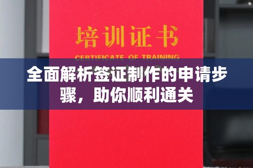 曲松全面解析签证制作的申请步骤，助你顺利通关