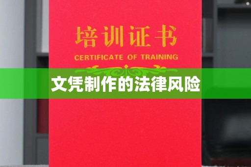 曲松文凭制作的法律风险