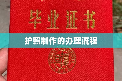 曲松护照制作的办理流程